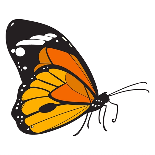 Butterfly Theme Orange And Yellow Butterfly Transparent Sticker Large